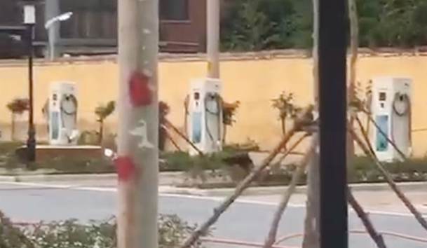 駐馬店市公共停車場充電站80kW雙槍直流充電樁項目案例